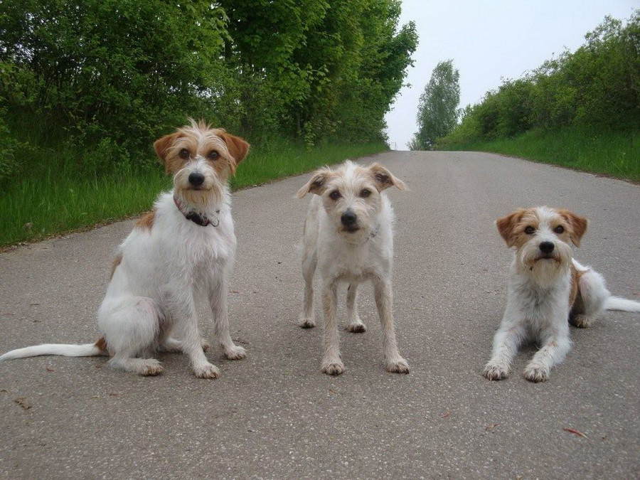 160502010_tara_mandy