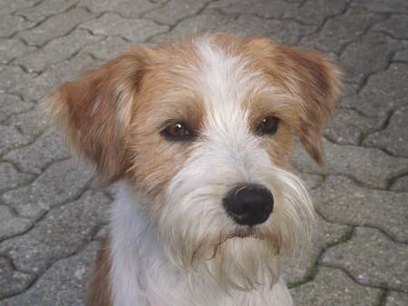 tubaersteraugust2008