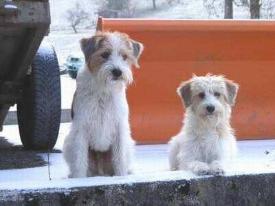 tubaundmaggiejanuar2009