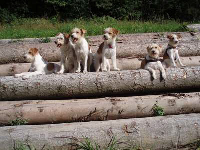 gruppenbild2