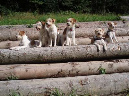 gruppenbild2