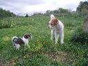 mai2010_mituwurf