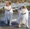 taraundmandyfebruar2009